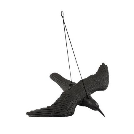 RAVEN MOLD OPEN WINGS