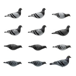 SET DA 12PZ DI STAMPO PICCIONE