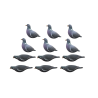 SET DA 12PZ STAMPO COLOMBACCIO