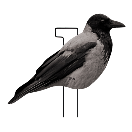 SET OF 12PCS OF CROW 2D MOLD