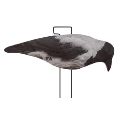 SET DA 12PZ DI STAMPO 2D CORNACCHIA FLOCKED