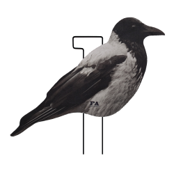 SET DA 12PZ DI STAMPO 2D CORNACCHIA FLOCKED