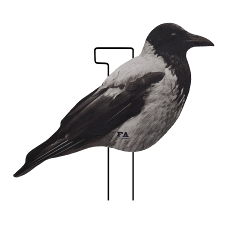 SET OF 12PCS OF FLOCKED CROW 2D MOLD