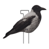 SET DA 12PZ DI STAMPO 2D CORNACCHIA FLOCKED