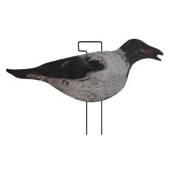 SET DA 12PZ DI STAMPO 2D CORNACCHIA FLOCKED