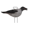 SET DA 12PZ DI STAMPO 2D CORNACCHIA FLOCKED