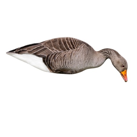 12PCS SET OF WILD GOOSE 2D MOLD