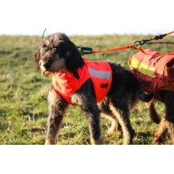 GILET PROTETTIVO PER CANI PROTECT ECO