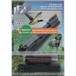 SET TACCA E MIRINO SLUG PER BINDELLE