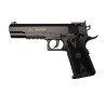 POWER WIN 304 4.5BB CO2 GUN